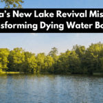 India’s New Lake Revival Mission Transforming Dying Water Bodies