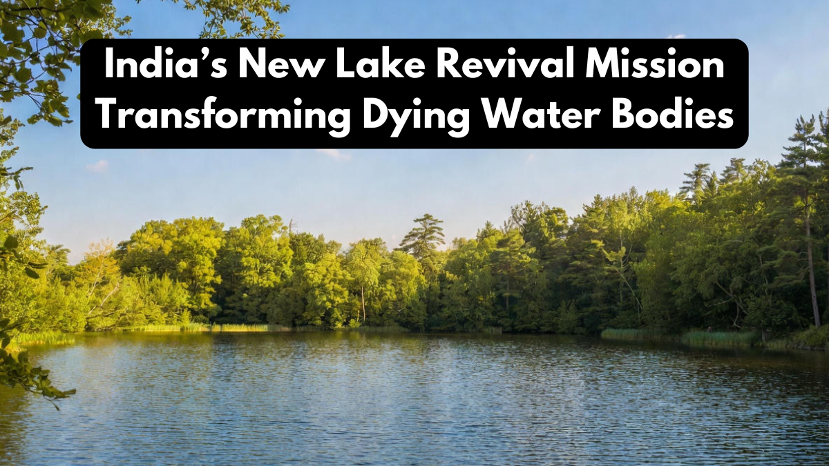 India’s New Lake Revival Mission Transforming Dying Water Bodies